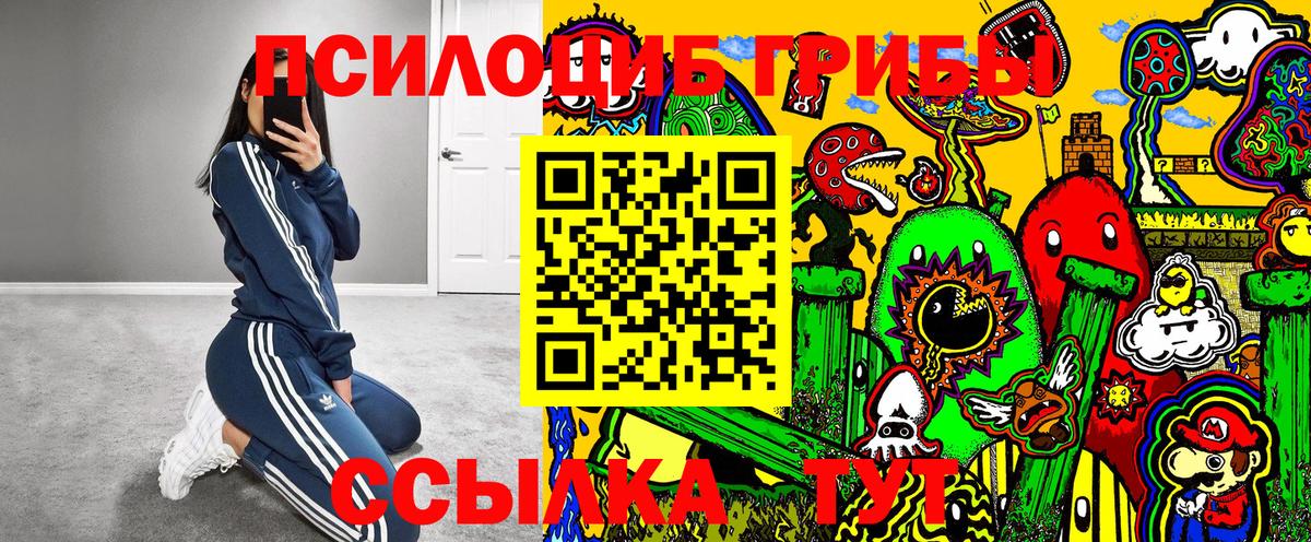 Псилоцибиновые грибы Psilocybe Зеленогорск