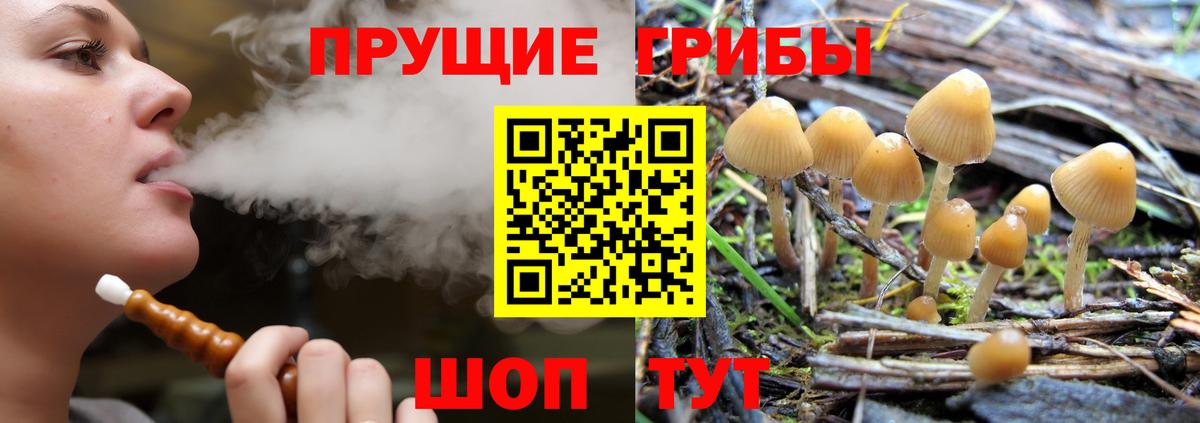 Псилоцибиновые грибы Magic Shrooms  Вход с VPN  Зеленогорск 